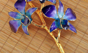 Orquidias Azul con Morado